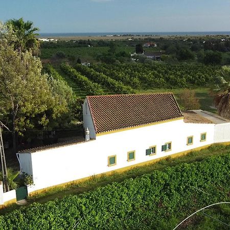 Quinta Rosa Branca Otel Tavira Dış mekan fotoğraf