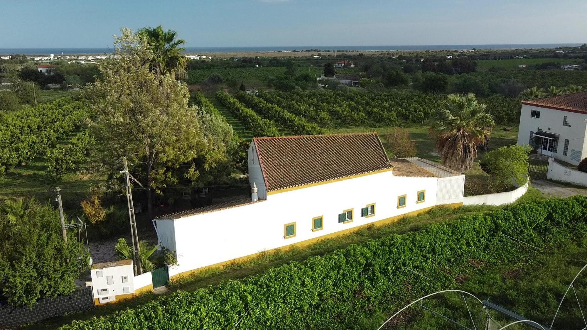 Quinta Rosa Branca Otel Tavira Dış mekan fotoğraf