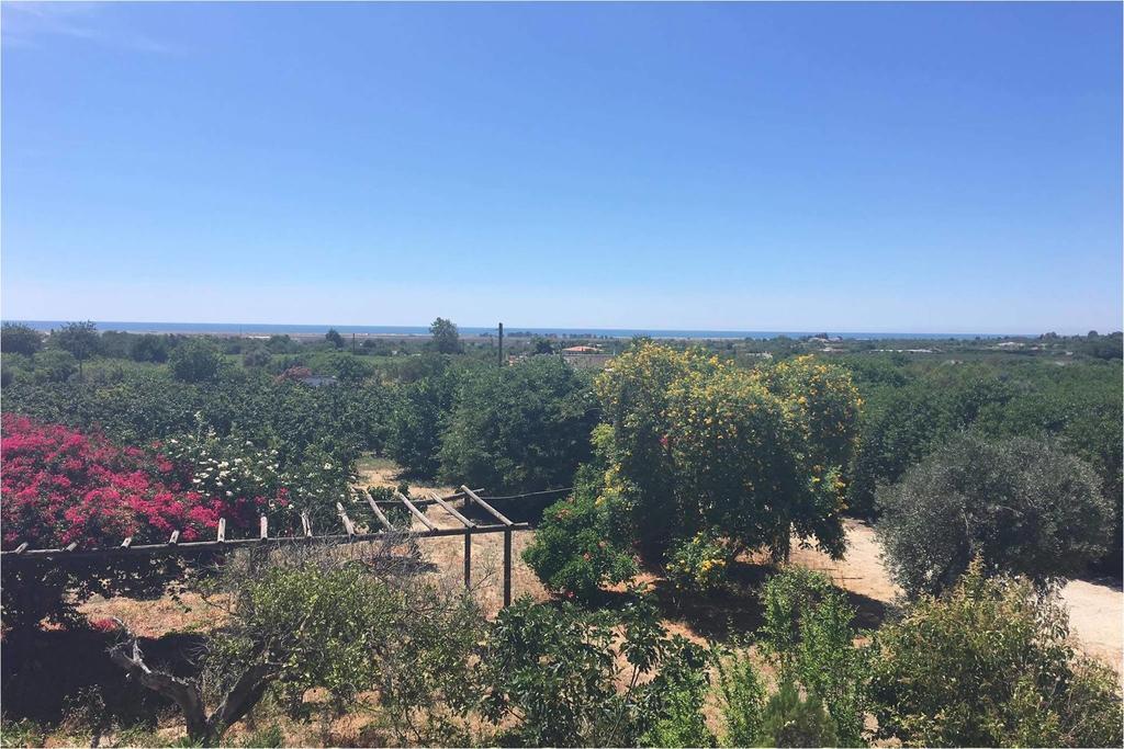 Quinta Rosa Branca Otel Tavira Dış mekan fotoğraf